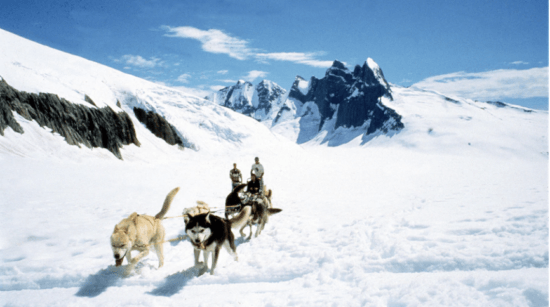 dog-sled-port-excursion-disney-cruise-line-alaska